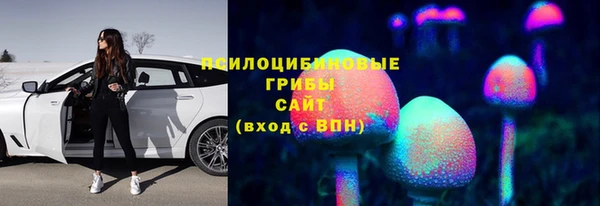 винт Алзамай