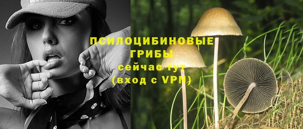 винт Алзамай