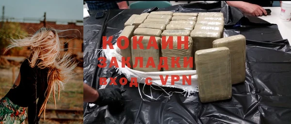 гашик Ельня
