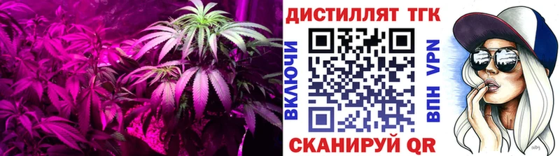 Дистиллят ТГК вейп с тгк  Ветлуга 