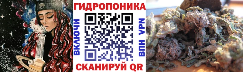 МАРИХУАНА индика  ОМГ ОМГ как войти  Ветлуга 